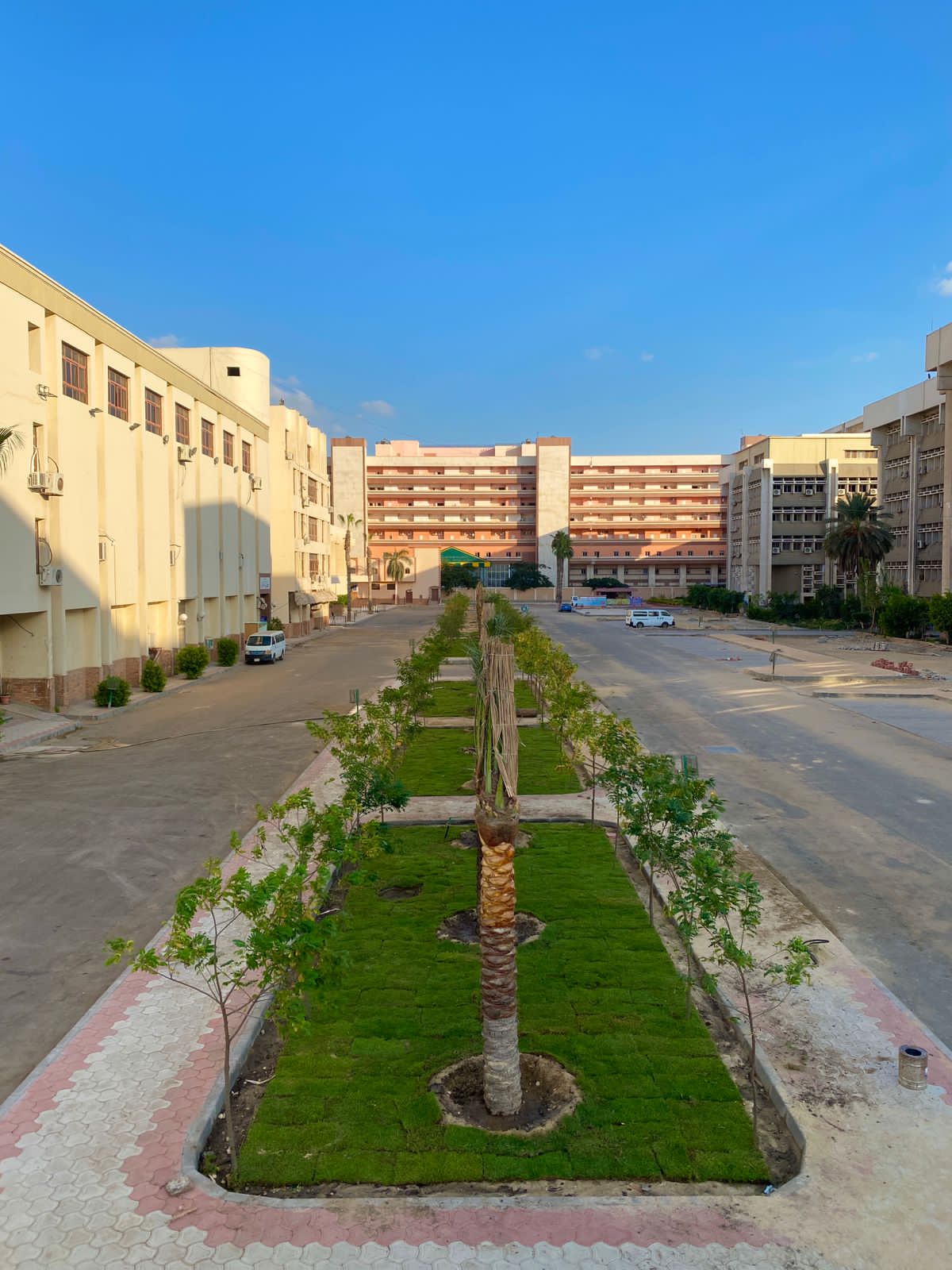 WhatsApp Image 2022-10-30 at 12.50.35