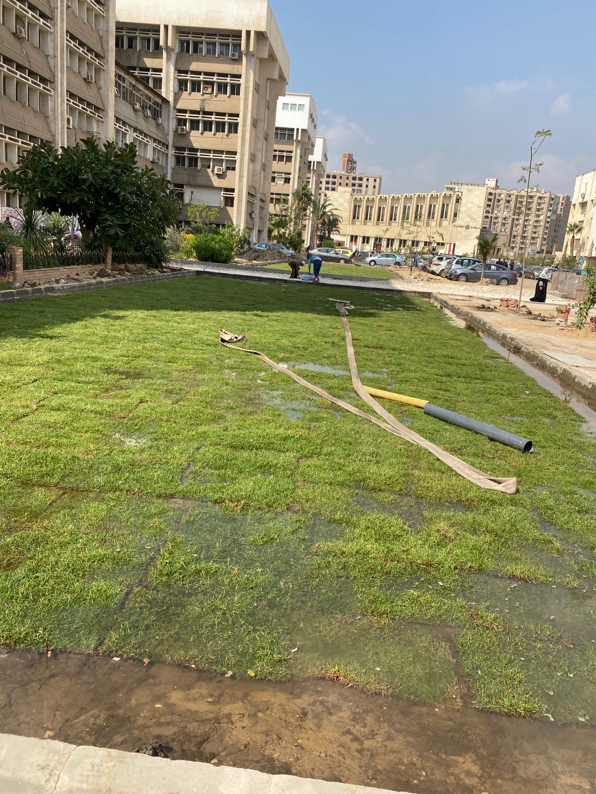 WhatsApp Image 2022-10-30 at 12.51.35