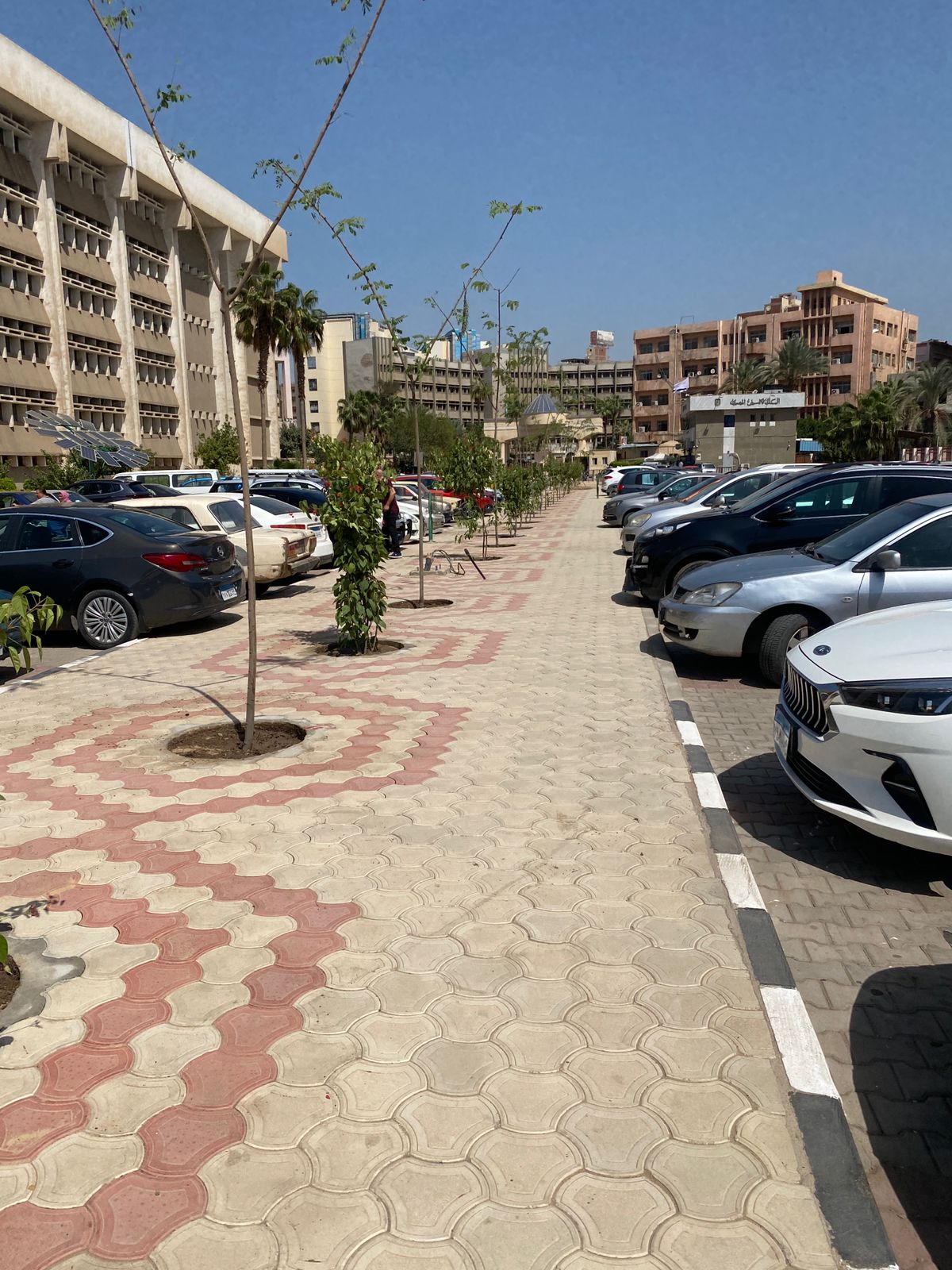 WhatsApp Image 2022-10-30 at 12.51.55