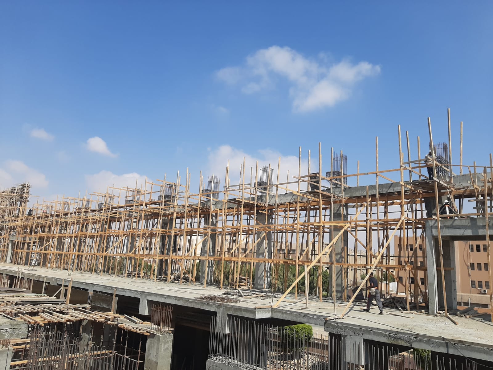 WhatsApp Image 2024-08-24 at 10.57.14_b589c697